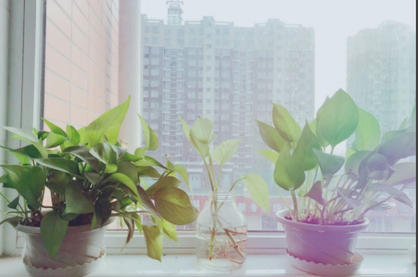 简约混搭