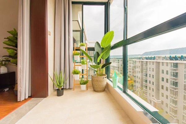 家有这6种阳台越住越穷，记住白送也不能要！