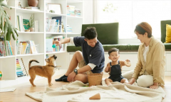 儿童房设计都在这！多娃家庭必看